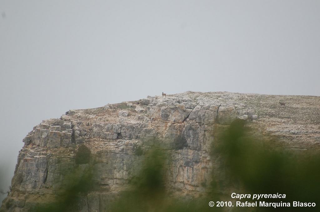 Escapadita a Beceite