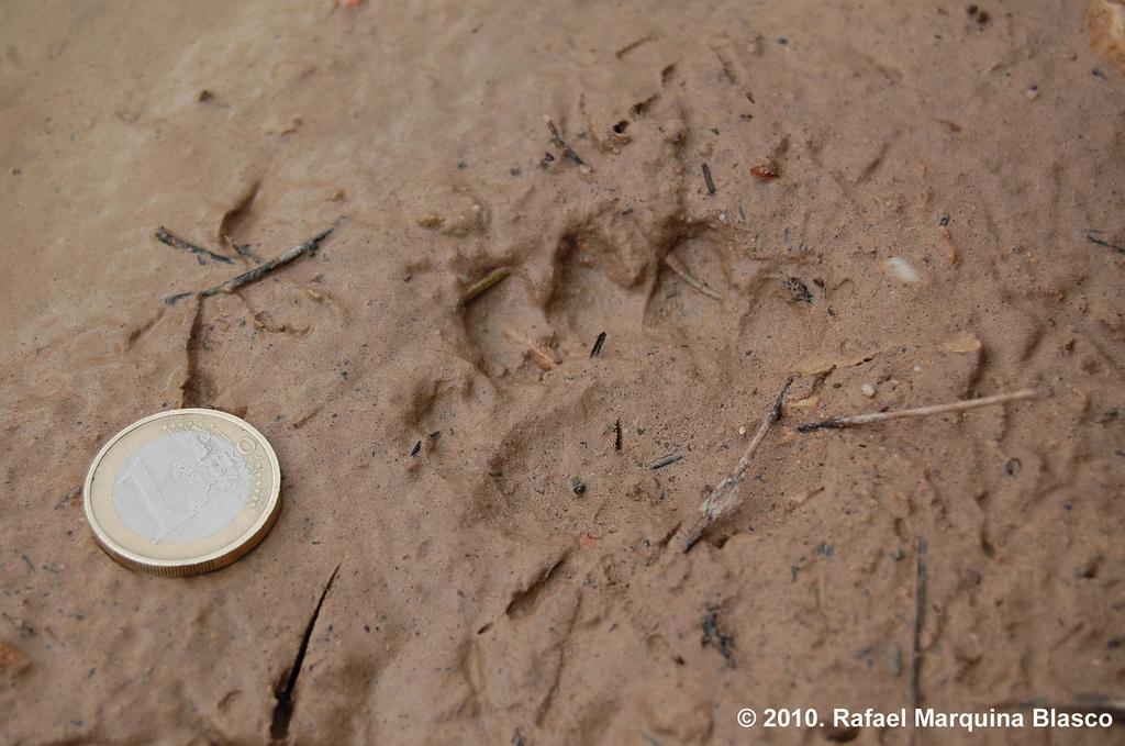 Escapadita a Beceite