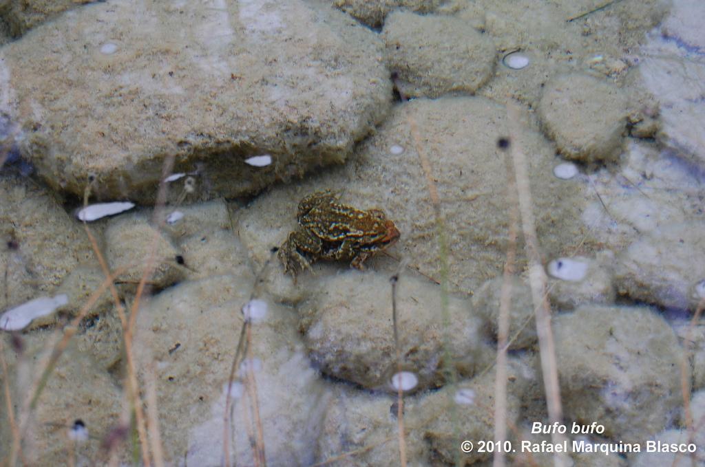 Escapadita a Beceite