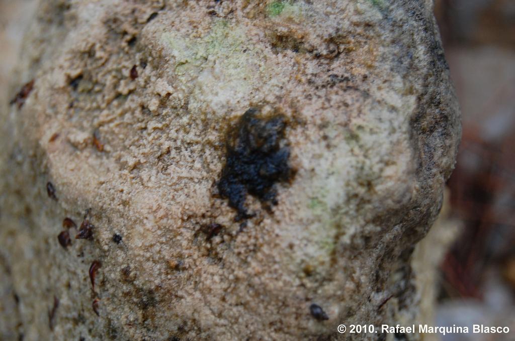 Escapadita a Beceite