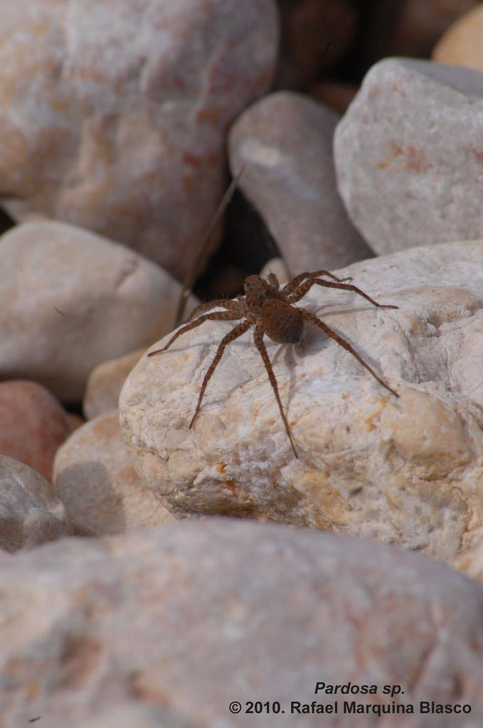 Escapadita a Beceite