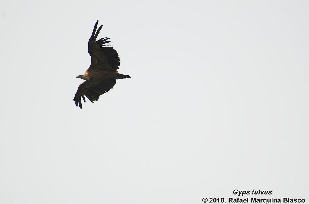 Escapadita a Beceite