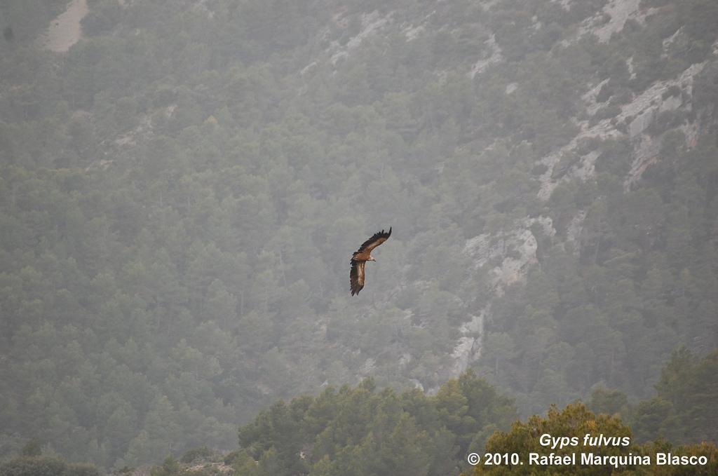 Escapadita a Beceite