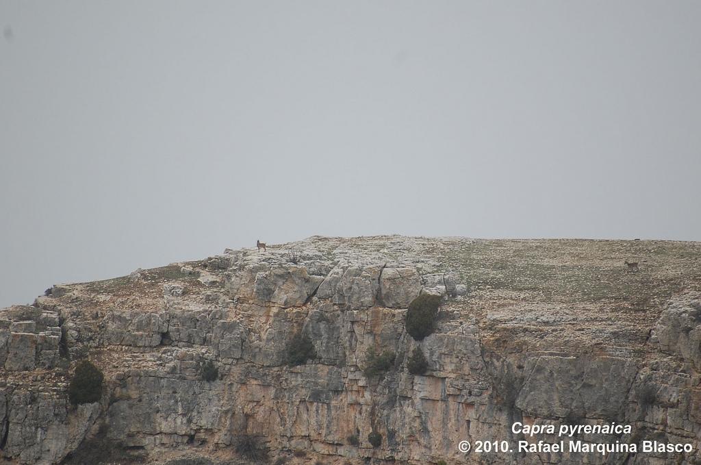 Escapadita a Beceite