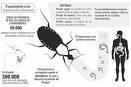 Médicos Fronteras conmemora años descubrimiento enfermedad Chagas exposición