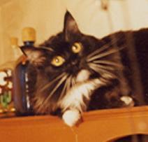 Desde Ciudad de México