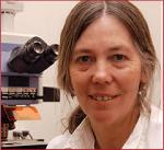 Necesitamos tu ayuda