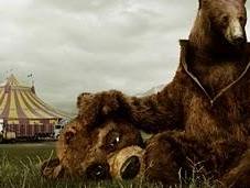 Fotografías despiertan imaginación.