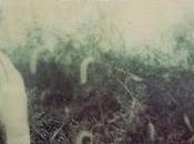 Electric Litany Child (2010)