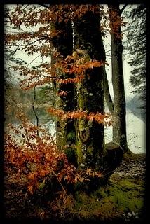 Triglav y Bled (Slovenia), dos pinceladas.
