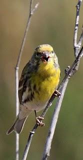 DE CAMBRILS AL DELTA DEL EBRO 2º-CAMBRILS the Ebro Delta 2