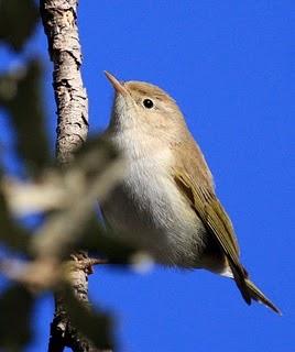 DE CAMBRILS AL DELTA DEL EBRO 2º-CAMBRILS the Ebro Delta 2