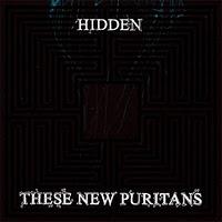 [Disco] These New Puritans - Hidden (2010)