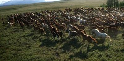 Concurso: La Imagen Pertenece a ... IMAGEN 3 Y 4 (Abril 2010)