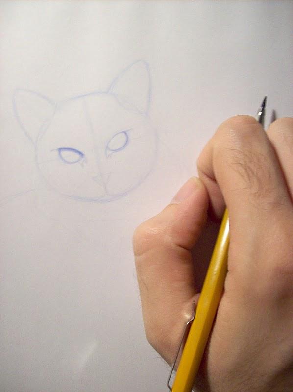 Práctica de dibujo con mi gato / Drawing practice with my cat