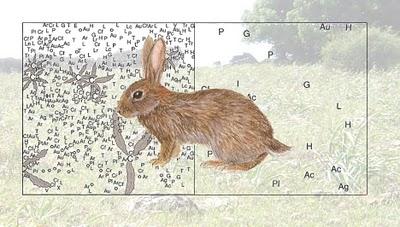 Jardinería involuntaria