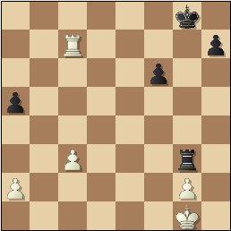 IV Torneo Internacional Ciudad de La Laguna (5)