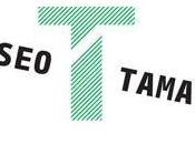Tamayo