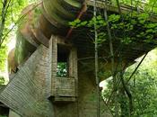 Residencia Wilkinson casa árbol