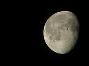 vuelos nocturnos aves