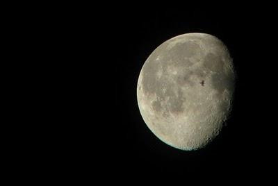 Los vuelos nocturnos de las aves