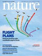 Cómo reconocer las publicaciones científicas de calidad