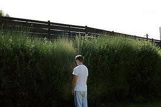 Kynodontas/Dogtooth (o el peligro de no (dejar a otros) formar parte de la sociedad)