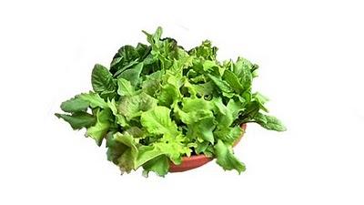 Ahorra dinero con una ensaladera viva.