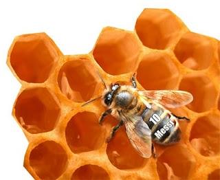 Las abejitas del Barça