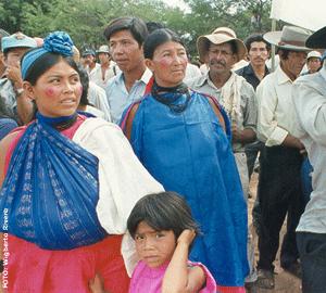 ¿Y dónde están los indígenas?
