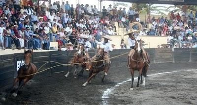 Vuela Cuautémoc a la cima con ¡401 Puntos!
