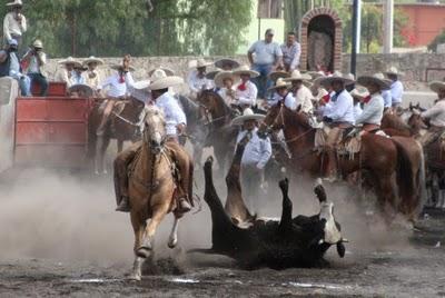 Vuela Cuautémoc a la cima con ¡401 Puntos!