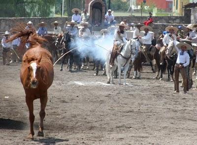 Responde El Jaralito con ¡400! y sueña en ser el Primer Campeón