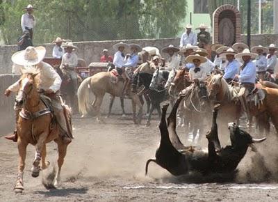 Le Pone el Cascabel al Gato el Subcampeón Nacional Tamariz