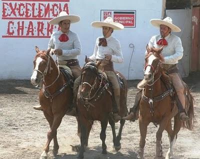 Le Pone el Cascabel al Gato el Subcampeón Nacional Tamariz