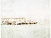 Quietud