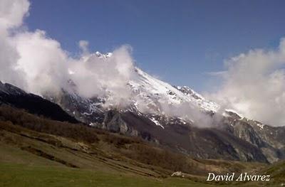 Buscando ranas por los Picos de Europa