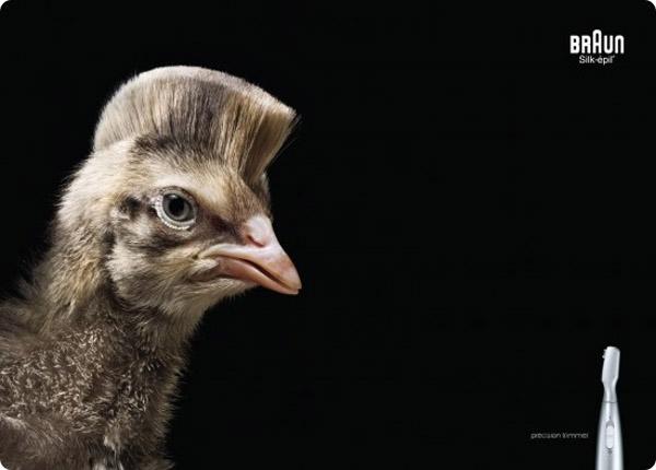 publicidades creativas