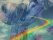 diciembre- febrero preguntas respuestas