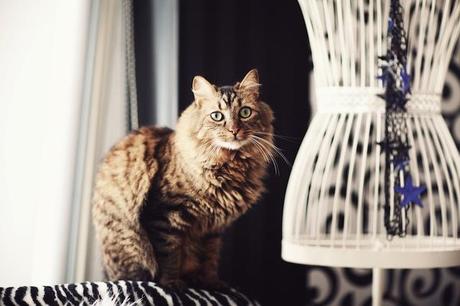 Welcome to my room.. Welcome to my room..