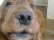 Quiere morir irse dueño!!!