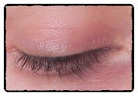 Eternelle...¿ha funcionado?