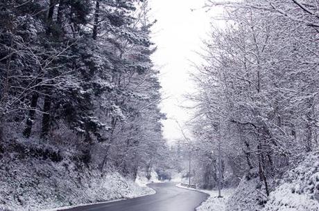 Abadiño con nieve en imágenes