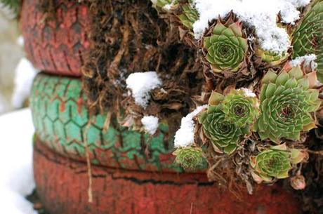 Abadiño con nieve en imágenes