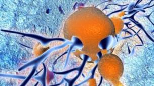 Funciona con Ratones ! Funciona con Ratones !