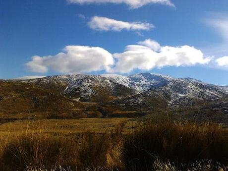 Con la que está cayendo