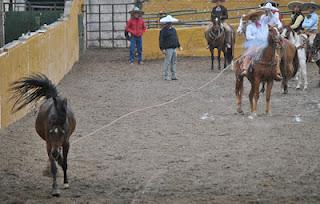 Barranqueña de Charros, Líder del Circuito Unidad de Jalisco
