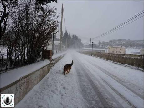 Crónicas de invierno II Crónicas de invierno II