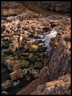 Reportaje en El Bolao