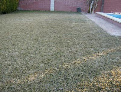 LOS ESTRAGOS DE LA OLA DE FRIO